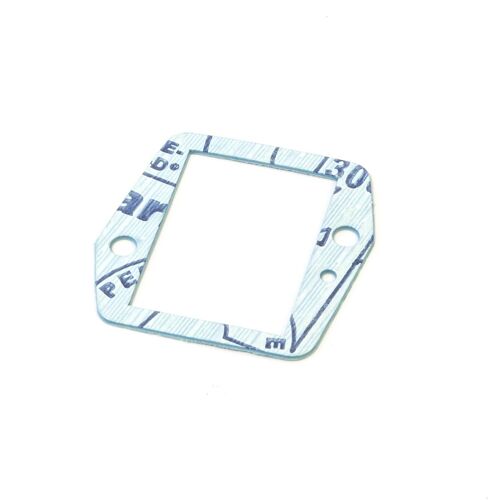 Gasket, Reed Valve Carrier to Carb Carrier DA-150L / DA-170 (5948)