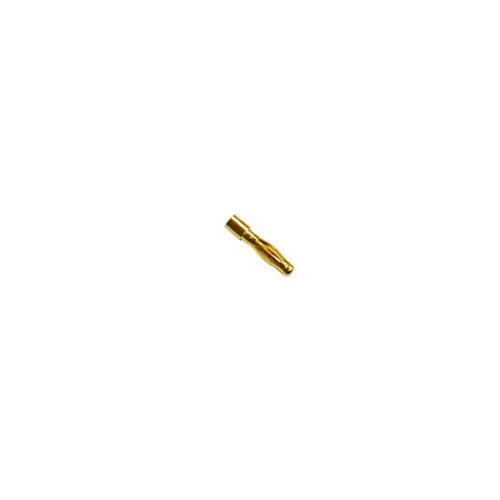 Gold connector male 4mm (10 pcs)