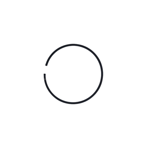 GP 123 / GP 61 - Anneau