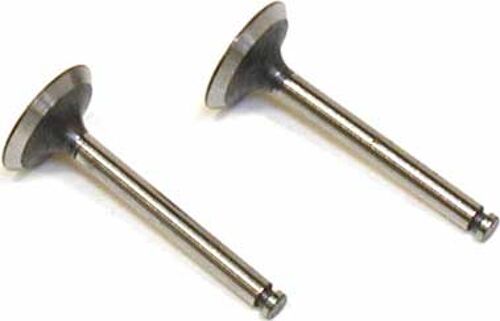 Saito Inlaat-/uitlaatklep (2) FA-82/91/182TD, FG-14