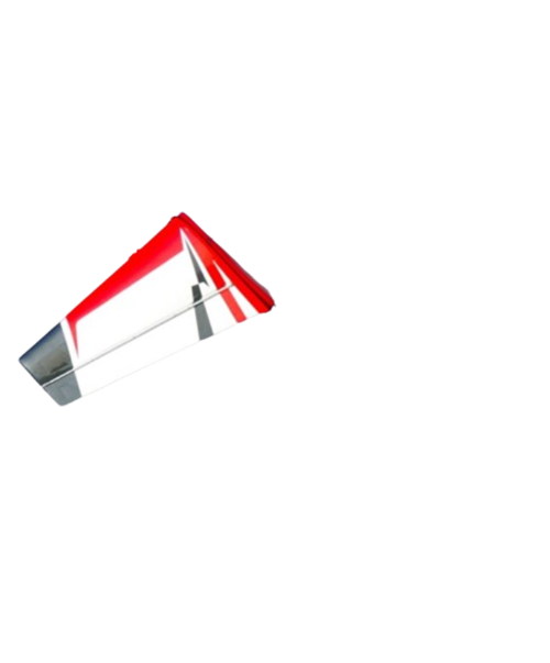 Extreme Flight - Extra NG 91", Ailes, Rouge/Argent