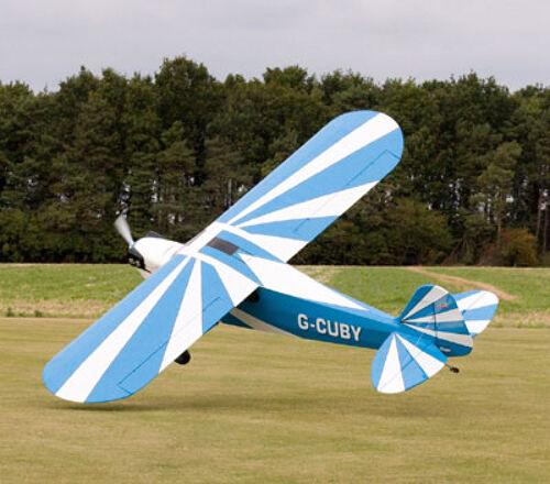 Bill Hempel - Clipped Wing Cub 50%, Blue/White