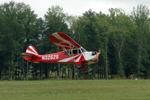 60% Clipped Wing Cub: 216"ws