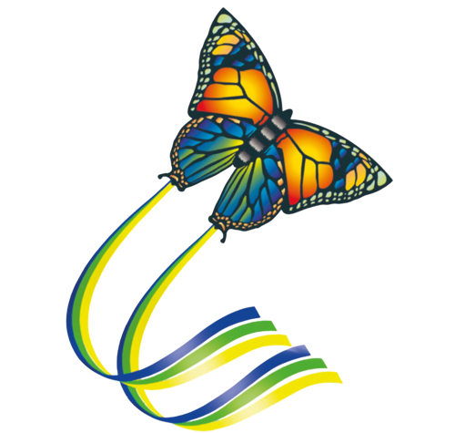 Gunther - Drachen Butterfly - 63 x 95 cm