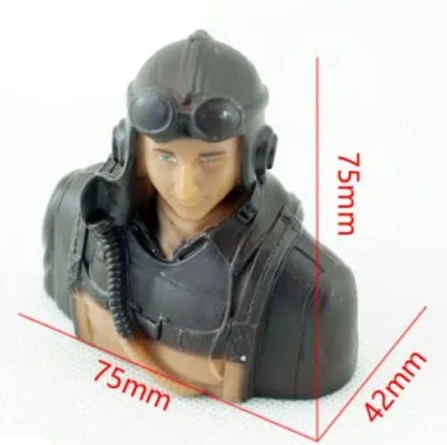 Dancing Wings Hobby - Pilote 1/6 6A - 75x75x42mm