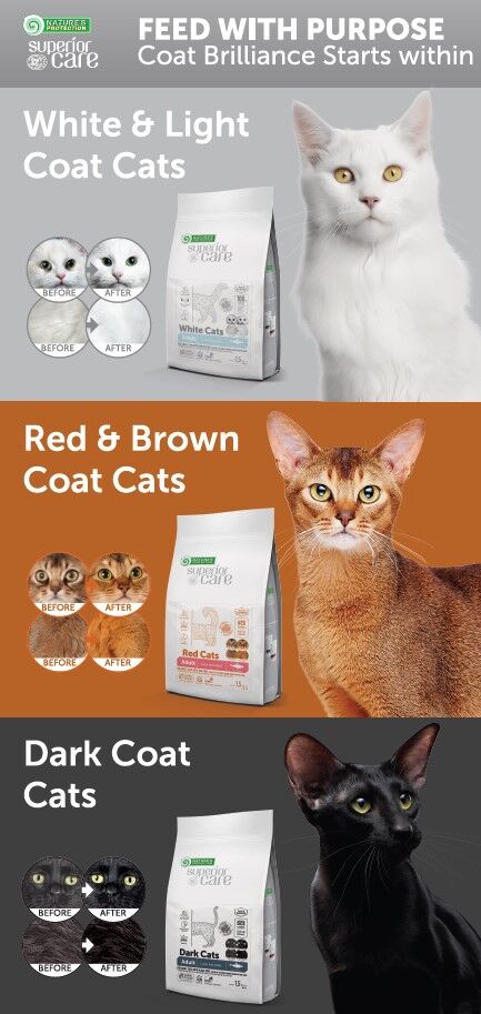 Nature's Protection Superior Care - CAT - Brochure - English