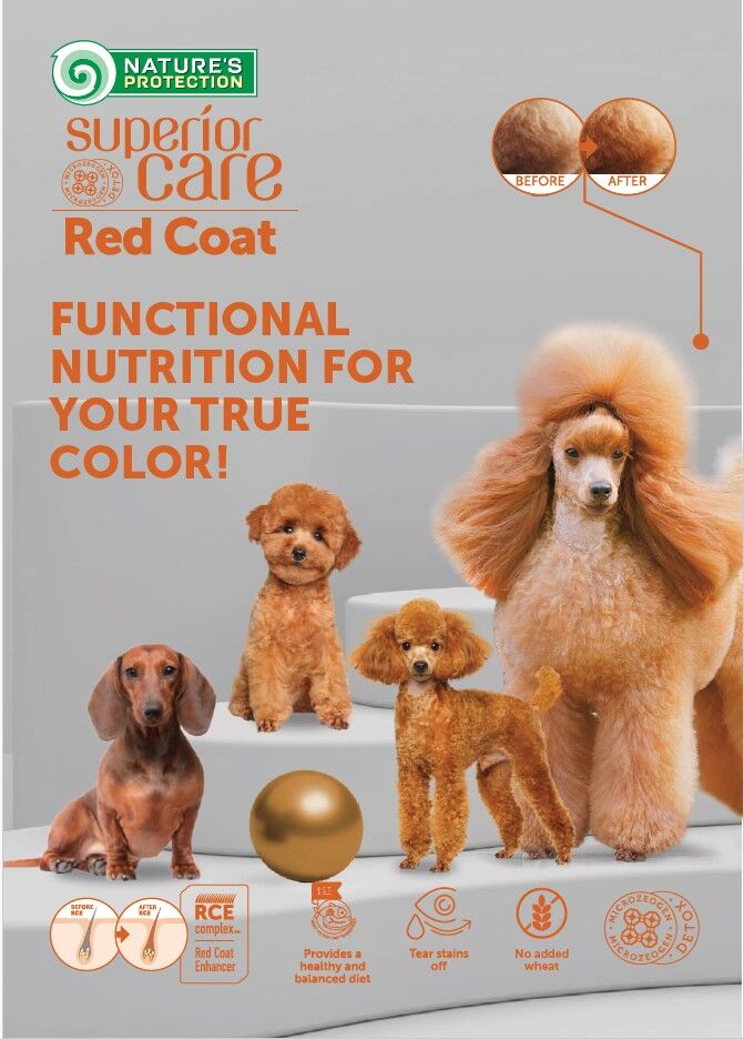 Nature's Protection Superior Care - Red Coat Dog - Mini Catalog A5 - English